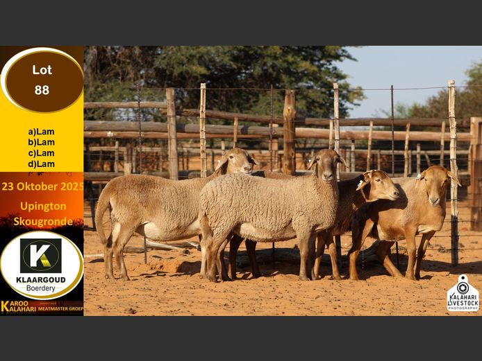 CP 88C | Chris Potgieter & Christia Scholtz - Klaargoud Boerdery