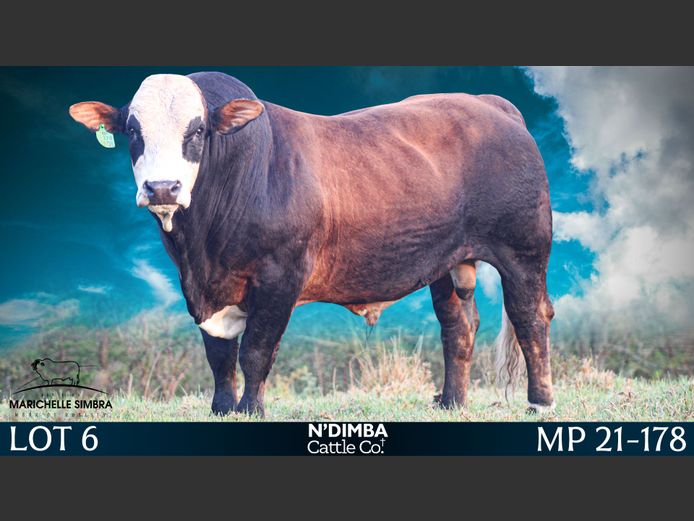 MP21178