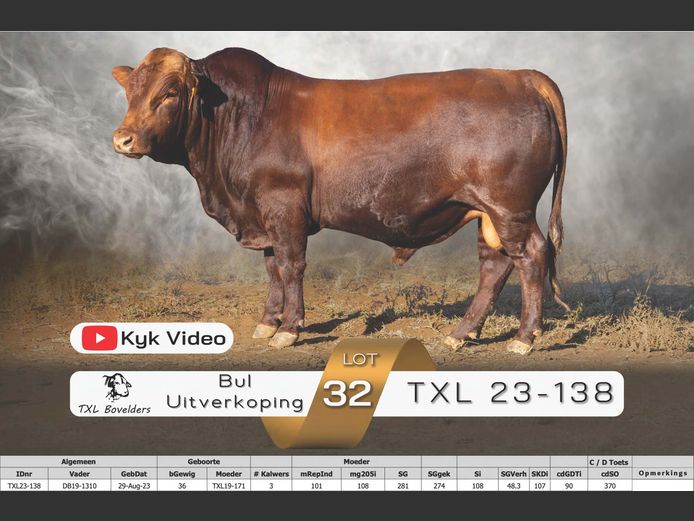 TXL23-138