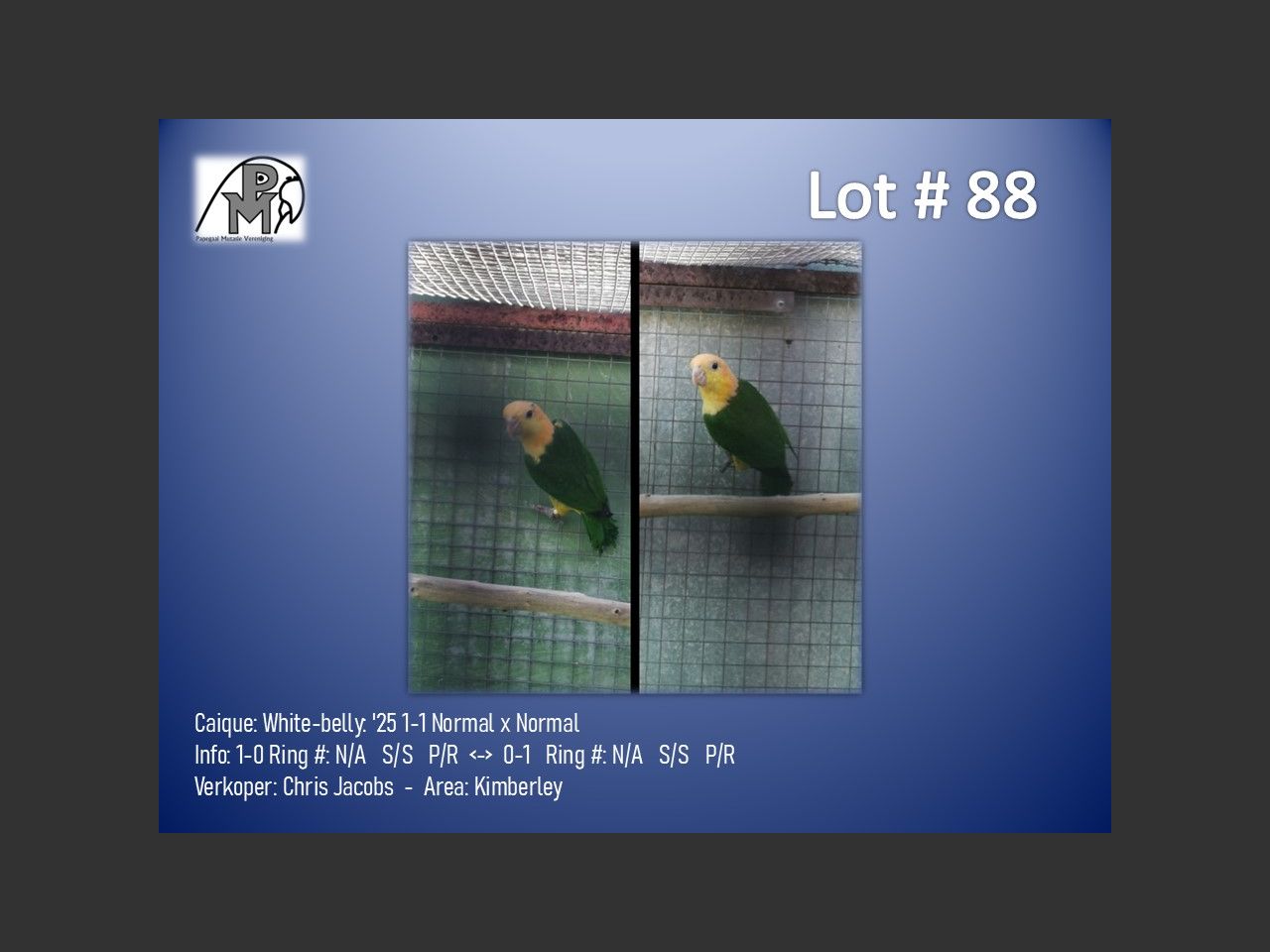 images