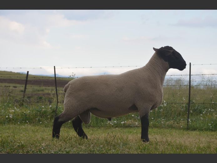 301 240404 | TWEESEUNS