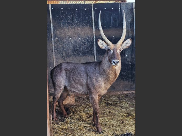 WATERBUCK | UNICO PROJECTS