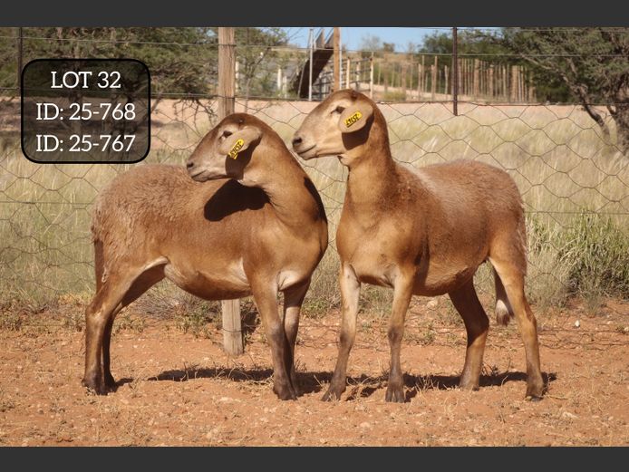 25-768 | 25-767 | MAKKA LOUWRENS MEATMASTERS