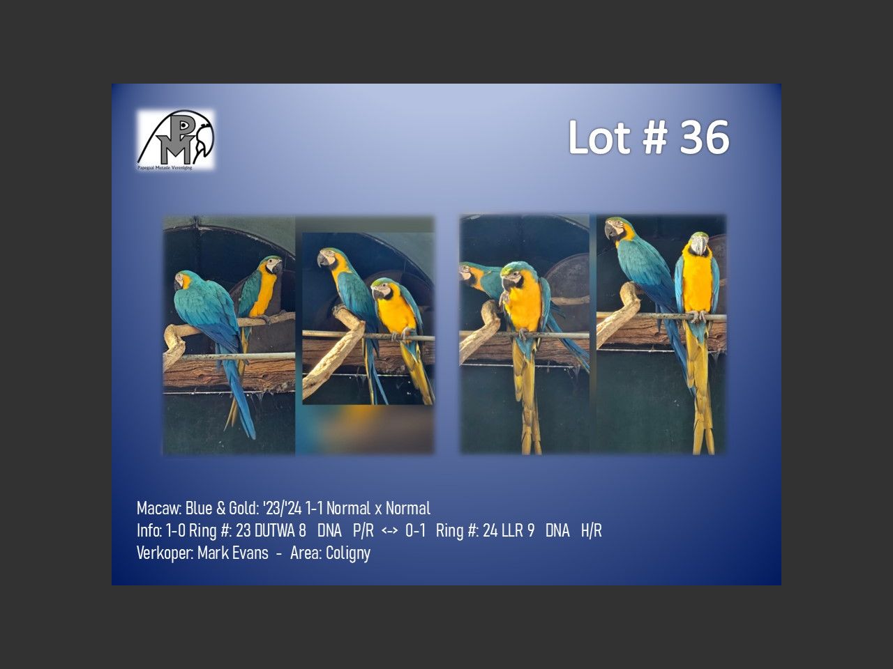images