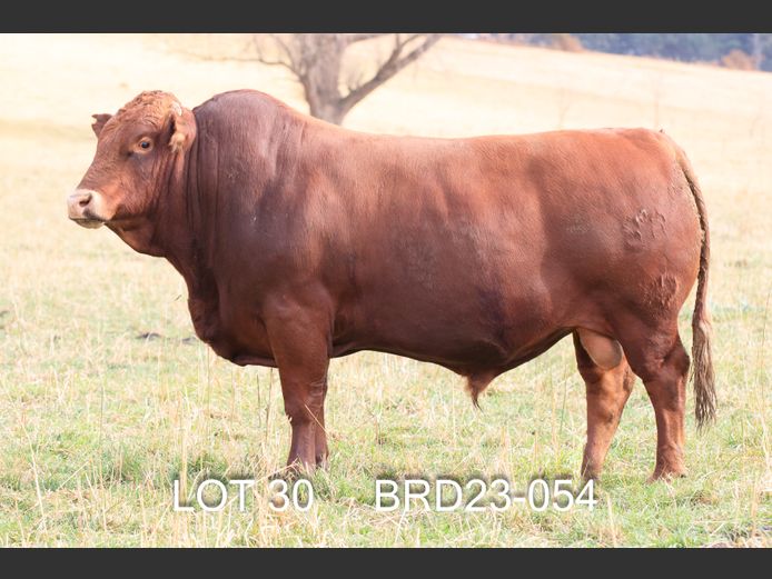 BRD 230054 | DIEPFONTEIN TRUST