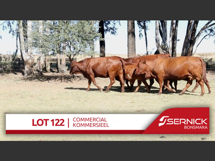 Commercial Animals