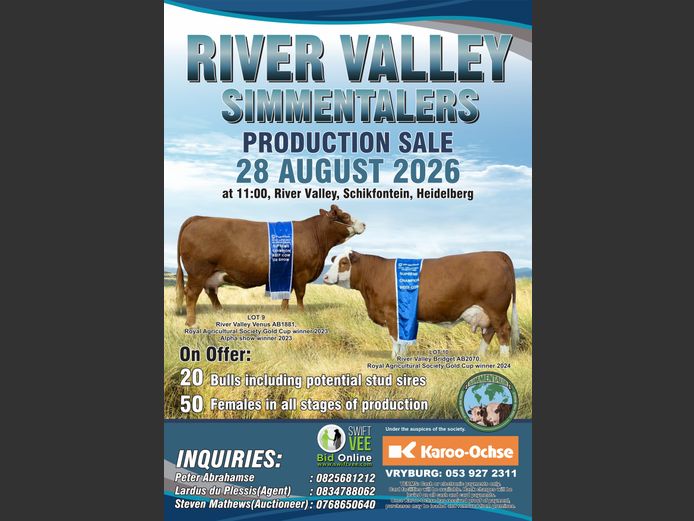 RIVER VALLEY SIMMENTALERS PRODUCTION SALE