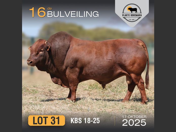 KBS 180025 | J.P.F. DU TOIT