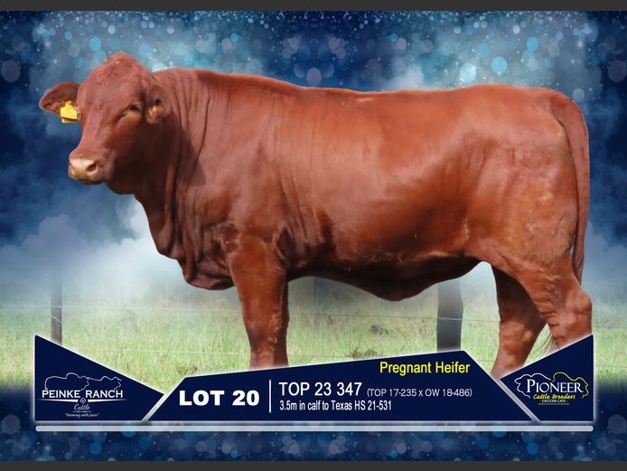 TOP 230347 | PEINKE RANCH