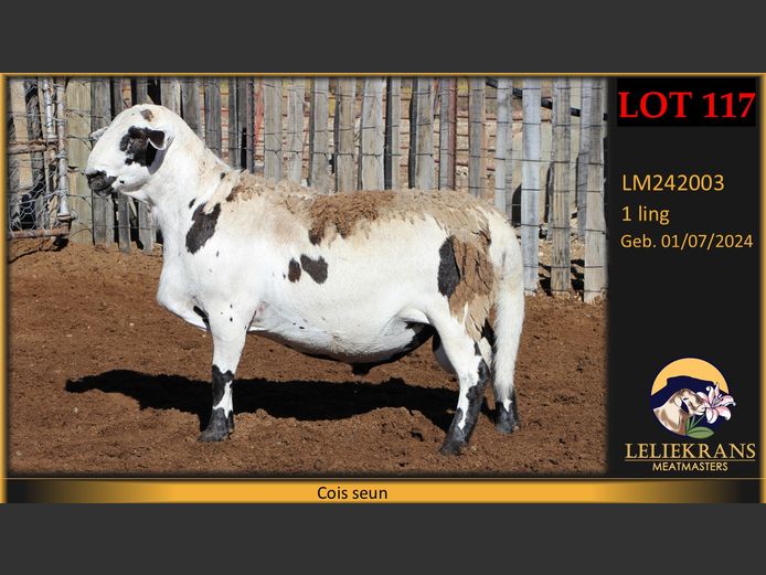 LM242003 | LELIEKRANS MEATMASTERS