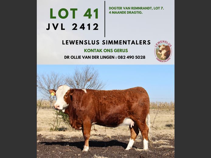 JVL2412 | DR JSH VAN DER LINGEN