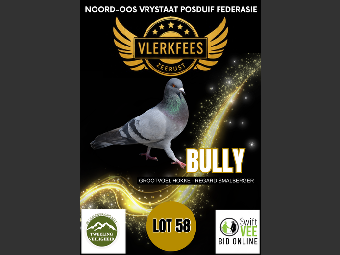 BULLY | GROOTVOEL HOKKE - REGARD SMALBERGER