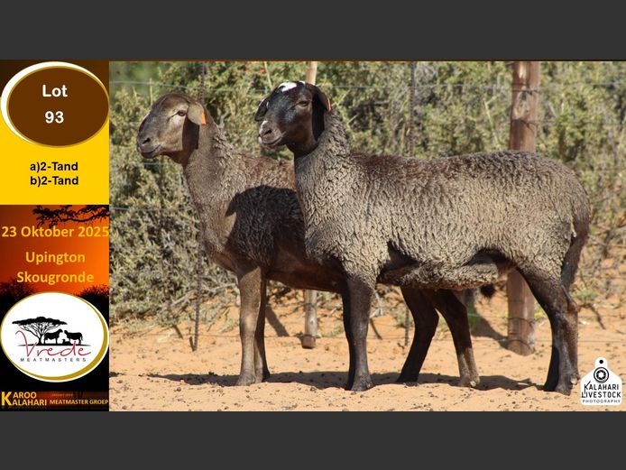 PS 93B | Peter & Christia Scholtz - Vrede Meatmasters