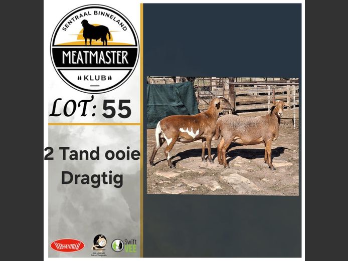 Ooie | Môrewag Meatmasters