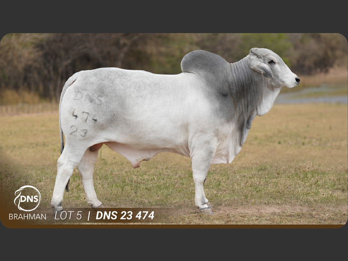DNS23474 | JES-C BOERDERY (PTY) LTD