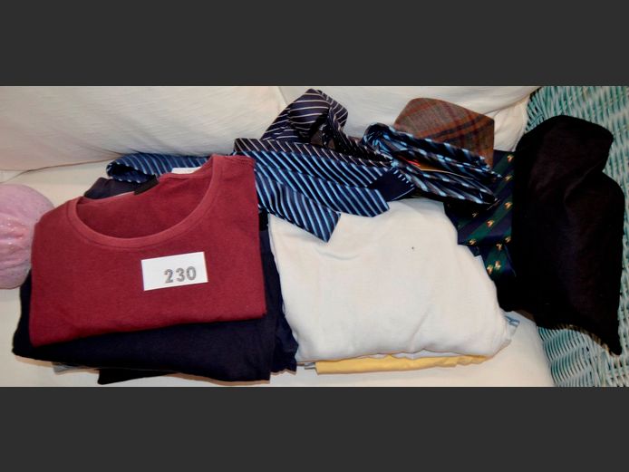 LOT: T-SHIRTS, TIES, etc