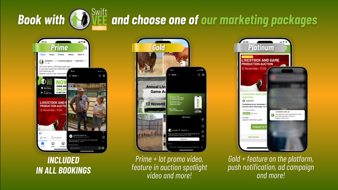 Products and Services