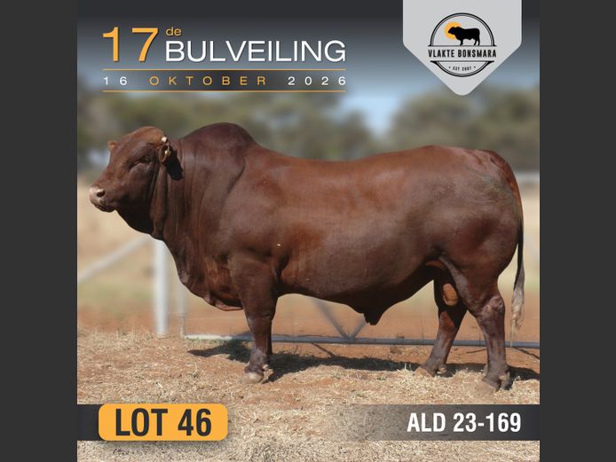 ALD230169 | ALDIGO BONSMARAS