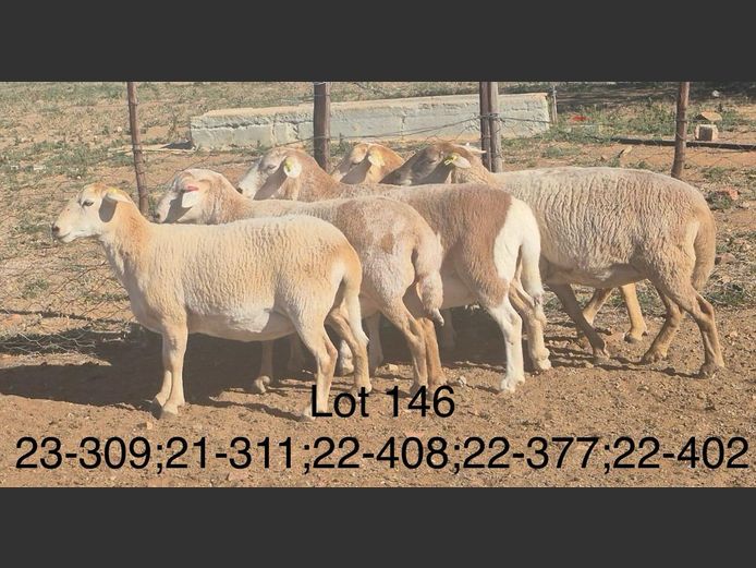 22-408 | DIRK LOTTER