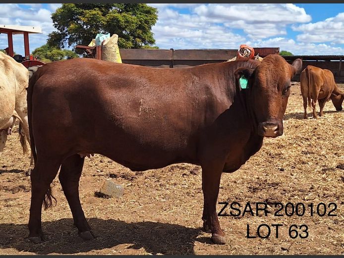 ZSAR200102 | S.A. ROOS