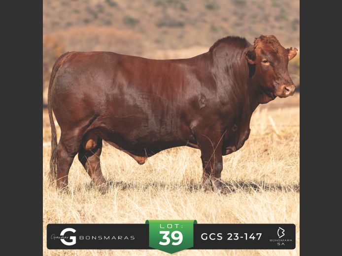 GCS 230147 | G.C. STANFORD