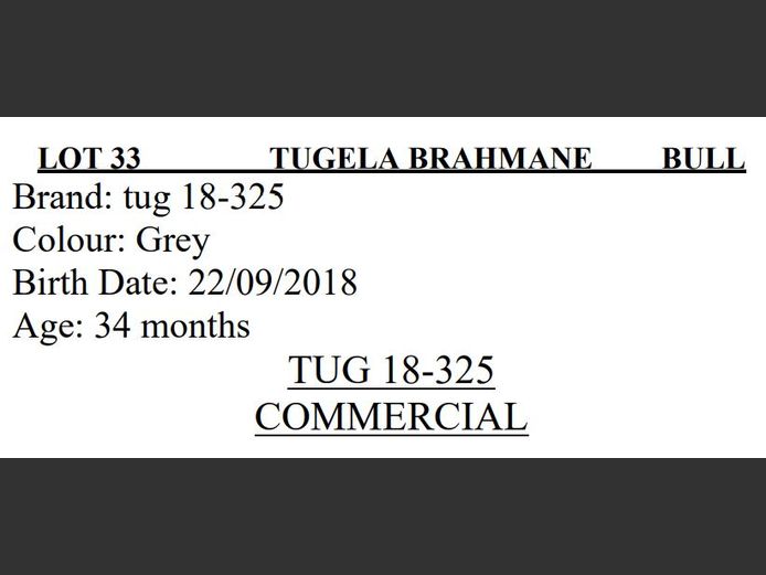 TUG 18325