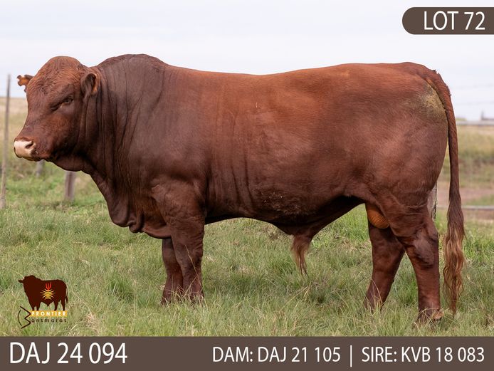 DAJ 240094 | J.D. STIRK