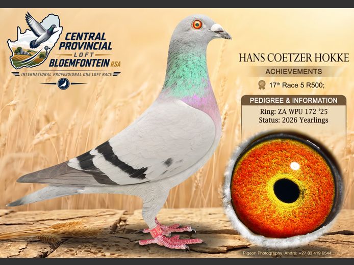 WPU 172 2025 | HANS COETZER HOKKE
