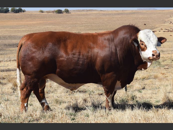 AH2237