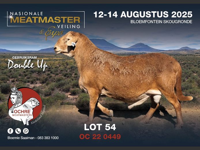 OC 22 0449 | AANGETEKEN | Boemie Saaiman - Ochre Meatmasters