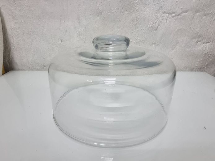 Classic Clear Glass Cake Cover (23cm)