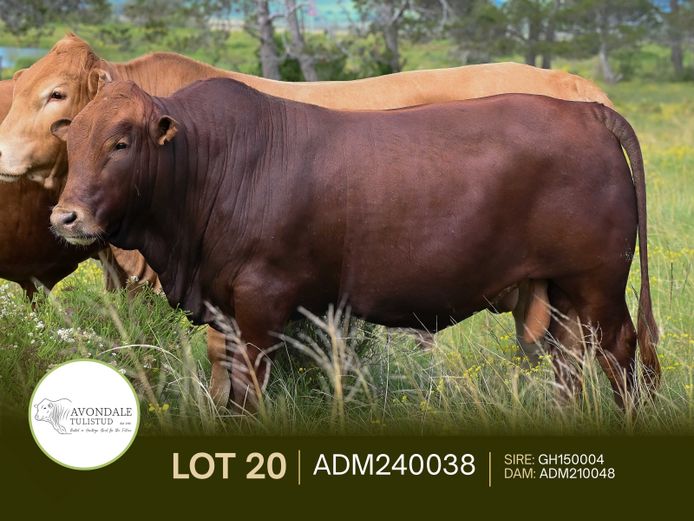 ADM240038 | A.D. MULLINS