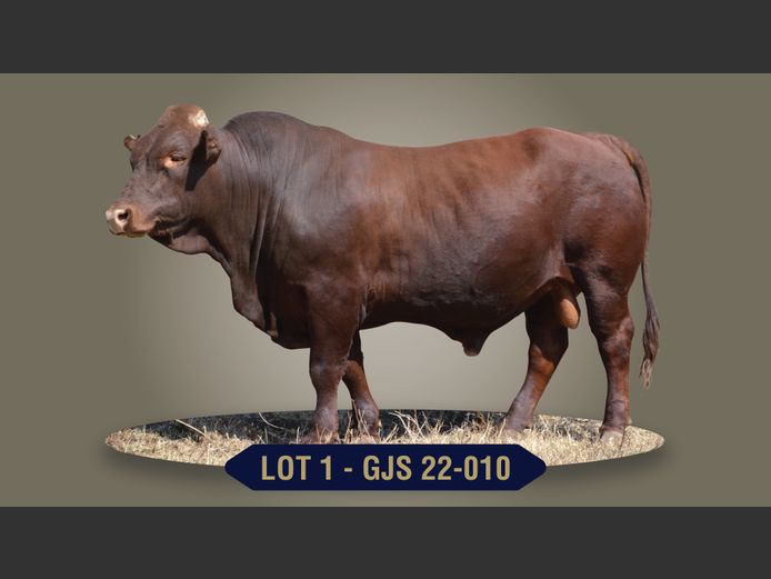 GJS220010 | G.J. STRYDOM