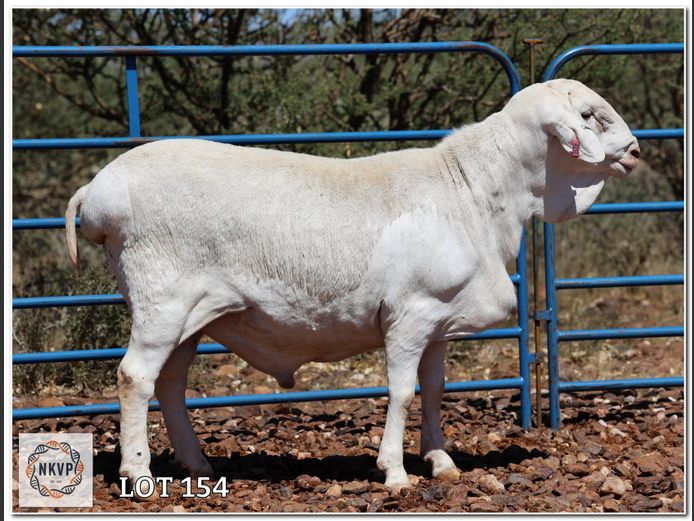 138 24 0213 | ANEL LIEBENBERG