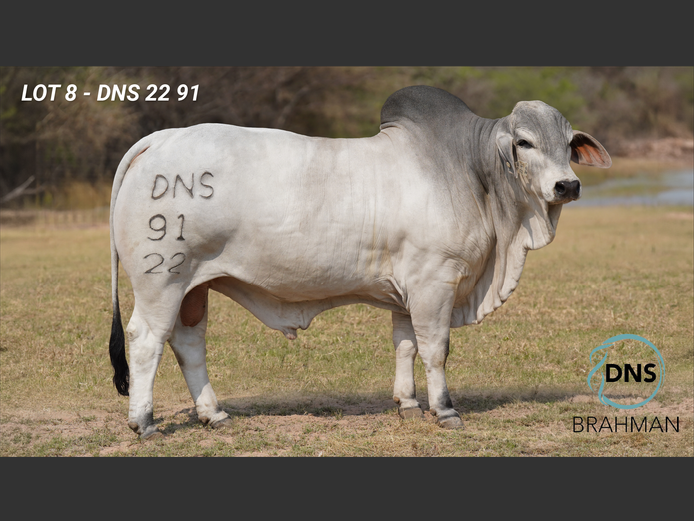 DNS2291 | JES-C BOERDERY (PTY) LTD