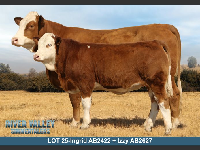 AB2422 | PA ABRAHAMSE