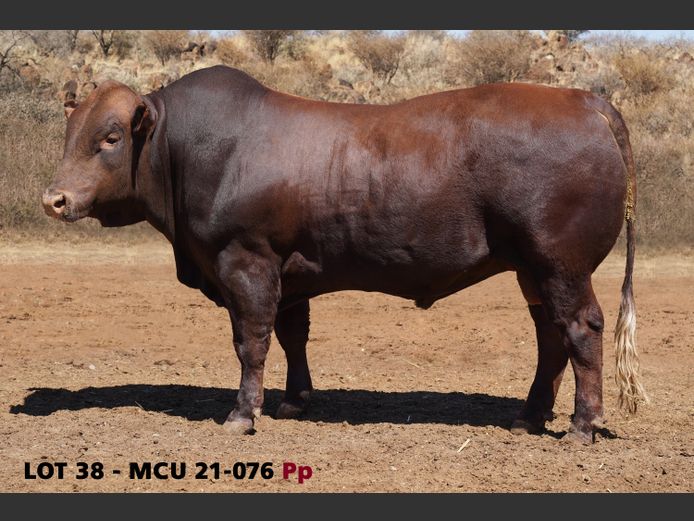 MCU21-0076