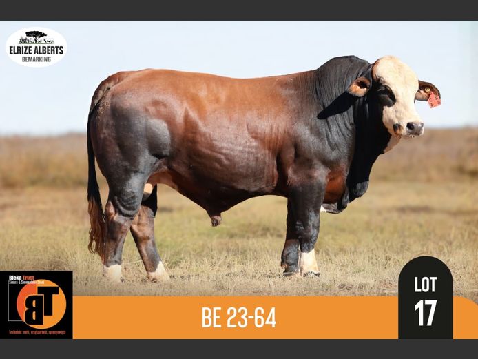 BE2364