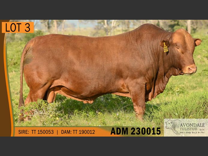 ADM 230015 | A.D. MULLINS
