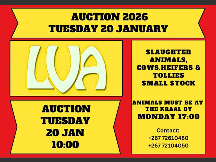 LVA WEEKLY SCALE AUCTION