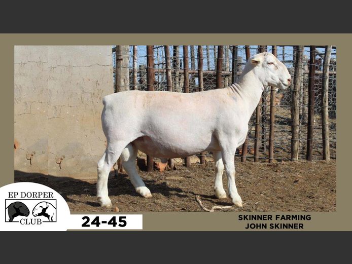 24-45  |  JOHN SKINNER - SKINNER FARMING