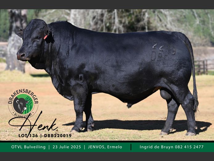 DBB 220019 | E.J.L. VAN DER MERWE