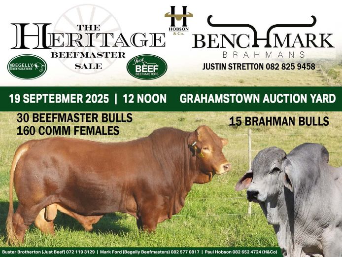 THE HERITAGE BEEFMASTER SALE