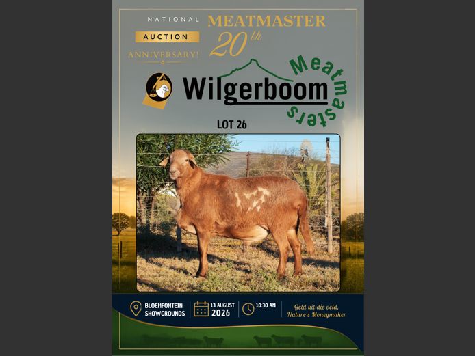 WS 254042 | WILGERBOOM BOERDERY