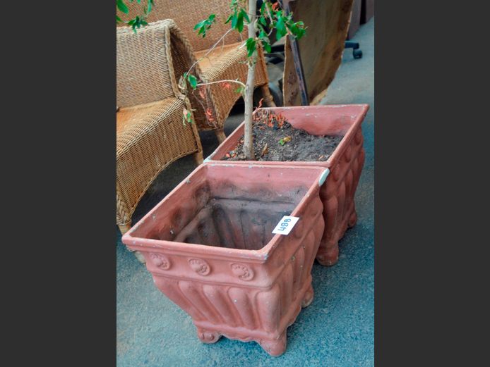 PAIR TERRACOTTA PLANT POTS [1 with plant], 40 x 40 x 40cm