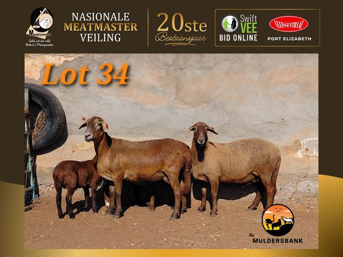 24-24 | Muldersbank Meatmasters