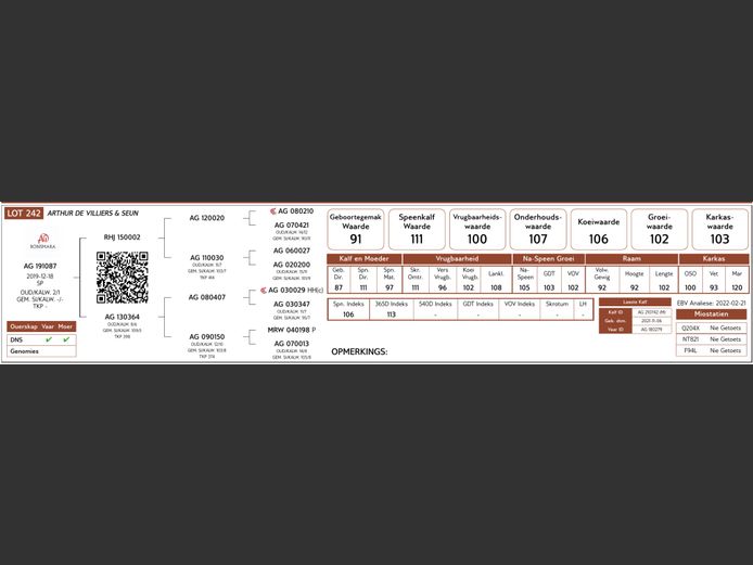 AG19-1087 #NV