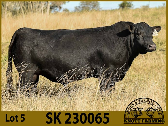 SK 230065 | KNOTT FARMING (PTY) LTD