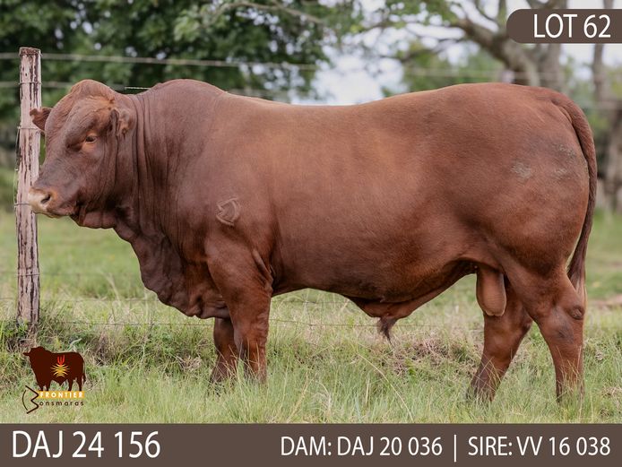 DAJ 240156 | J.D. STIRK