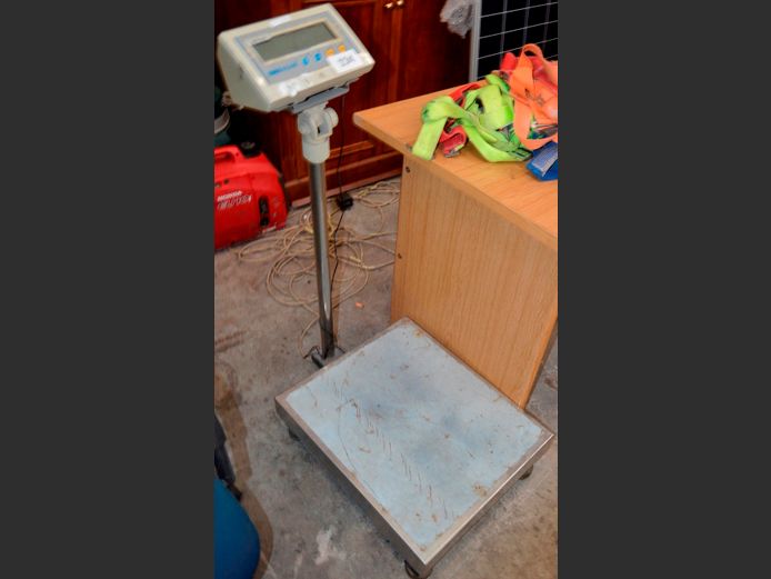 ADAM DIGITAL PLATFORM SCALE [Faulty]